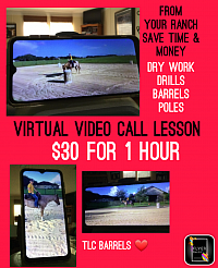 Virtual Video Call Live Lessons